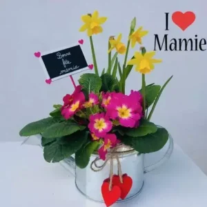 I LOVE MAMIE Potée de Jonquilles et Primevères