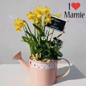 I LOVE MAMIE Potée de Jonquilles et Pensées