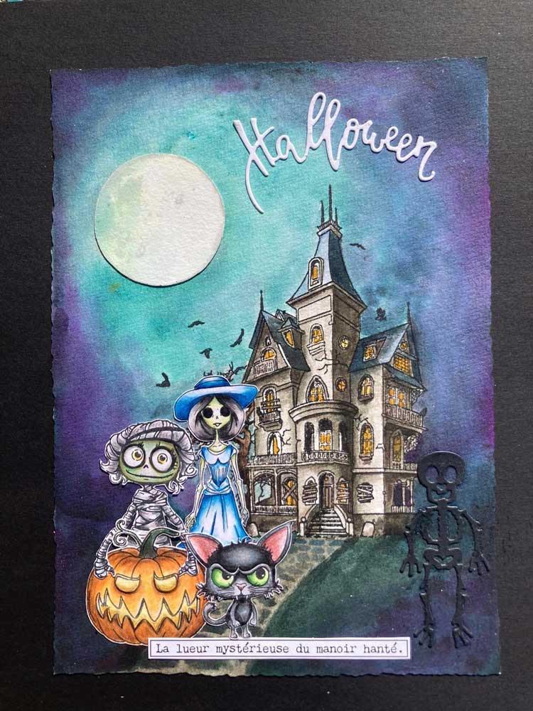 Tampons Transparents Le Manoir – Image 5