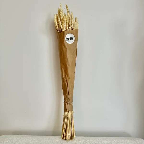 FLEURS SÉCHÉES, BLÉ naturel séché, DIY, Loisirs créatifs, à la Botte – Image 3