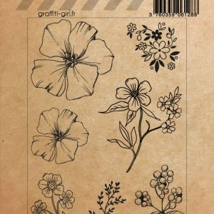 Tampons Transparents Liberty