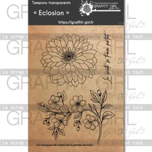 Tampons Transparents Eclosion