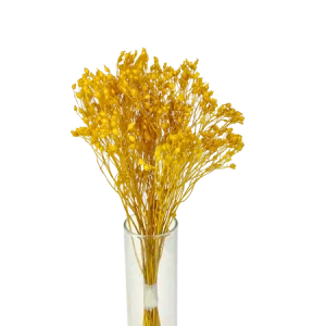 Broom-bloom jaune Mini Bouquet, Complément, Box DIY