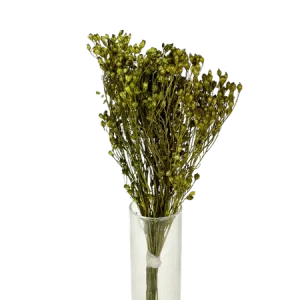 Broom-bloom rose vert olive Mini Bouquet, Complément, Box DIY