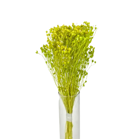 Broom-bloom vert pomme Mini Bouquet, Complément, Box DIY