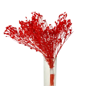 Broom-bloom rouge Mini Bouquet, Complément, Box DIY