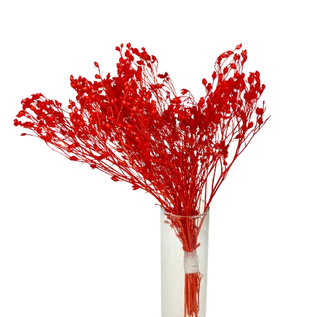 Broom-bloom rouge Mini Bouquet, Complément, Box DIY – Image 2