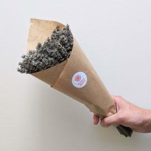 Botte de lavande naturelle séchée pour création de décoration d&rsquo;intérieur DIY