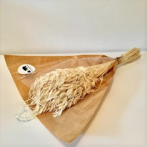 FLEURE SÉCHÉES, AVOINE blanche, DIY, Loisirs créatifs, à la Botte