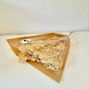 FLEURS SÉCHÉES, BLOOM-BROOM naturel séché, DIY, Loisirs créatifs, à la Botte 2 couleurs