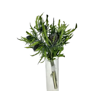 Chardon bleus 5 Fleurs, Complément, Box DIY