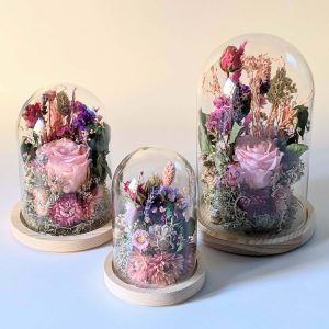 Cloche en verre et fleurs éternelles pour une décoration d&rsquo;intérieur chic et douce, Lyla