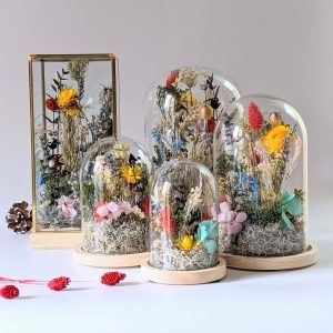 Cloche en verre avec fleurs séchées et préservées pour décoration d’intérieur ensoleillée, Paula