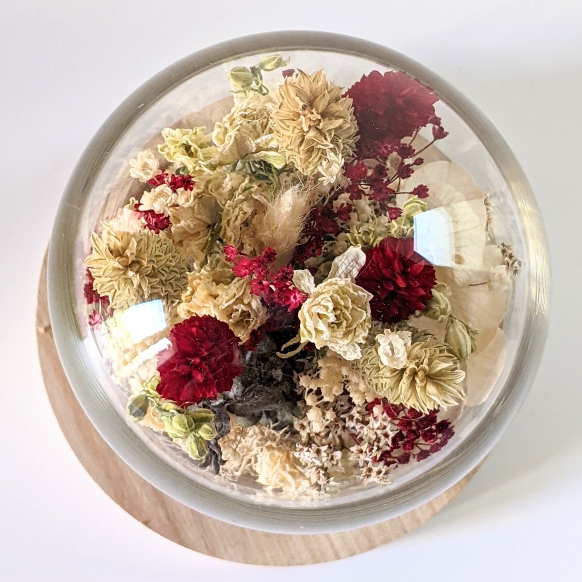 Cloche de fleurs séchées aux couleurs rouges et vertes, Sofia – Image 5