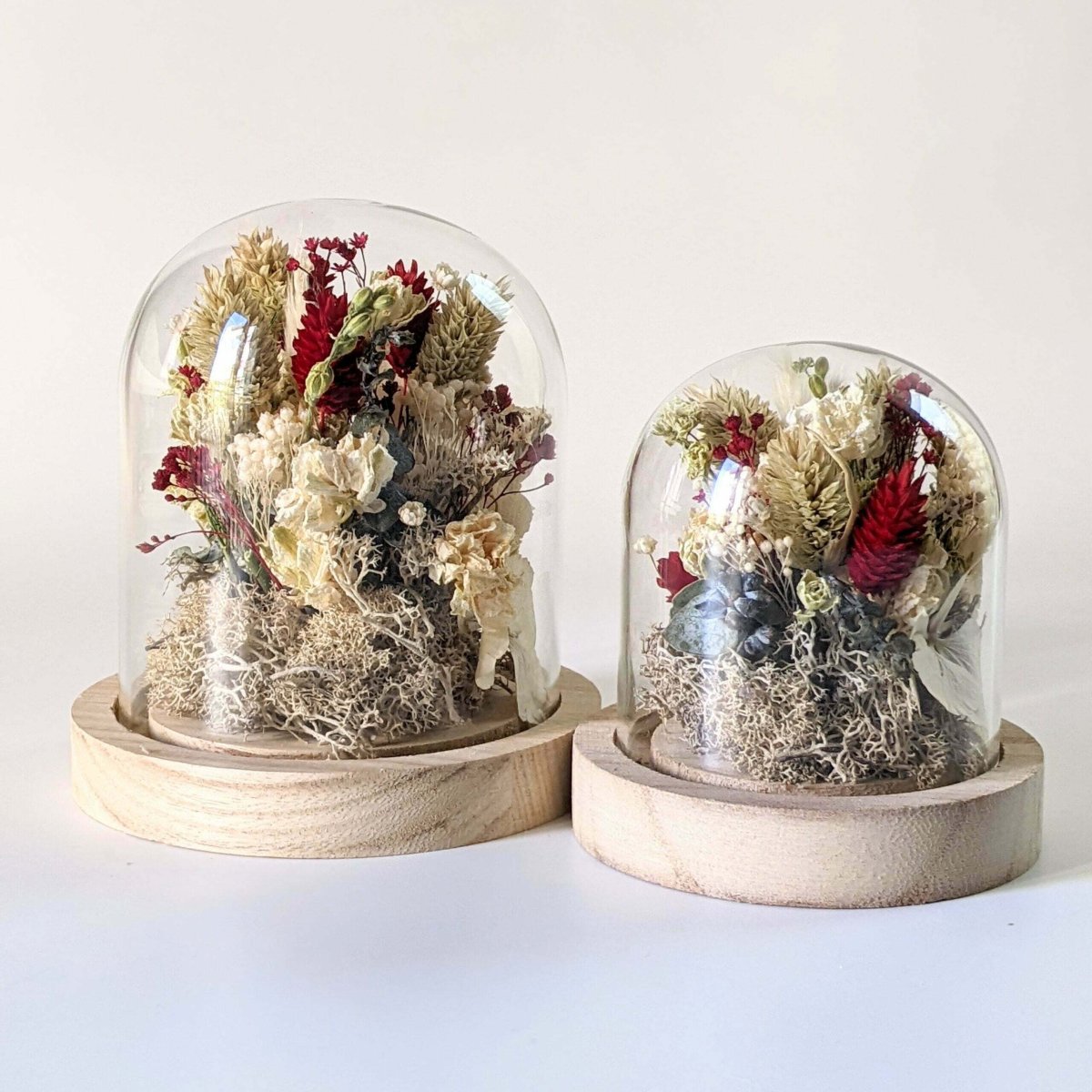 Cloche de fleurs séchées aux couleurs rouges et vertes, Sofia – Image 2