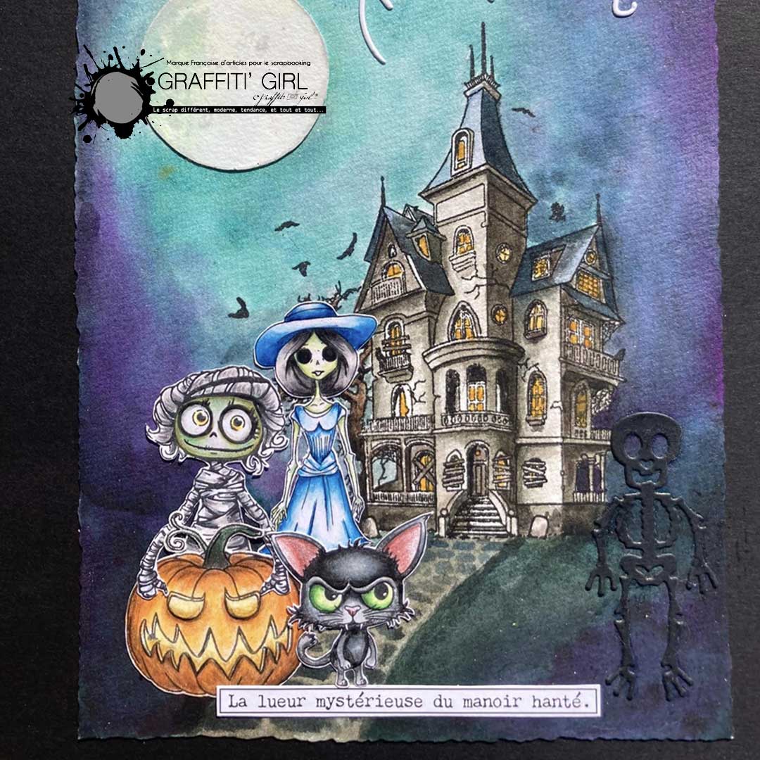 Tampons Transparents Halo Family – Image 8