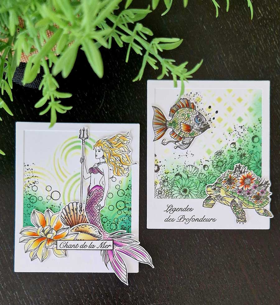 Tampons Transparents Sirène – Image 6