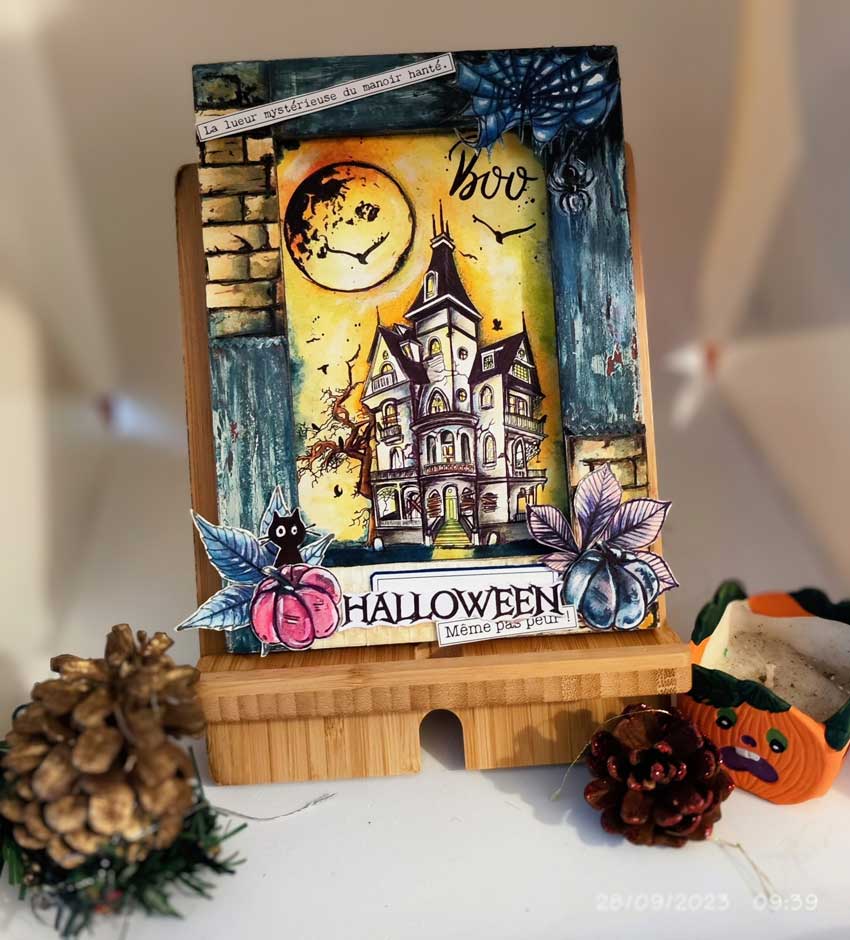 Tampons Transparents Le Manoir – Image 4