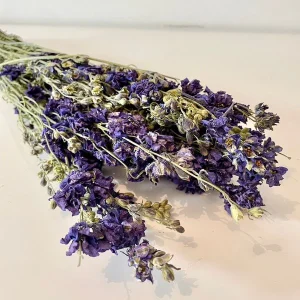 FLEURS SÉCHÉES, DELPHINIUM séché, DIY, Loisirs créatifs, à la Botte 2 couleurs