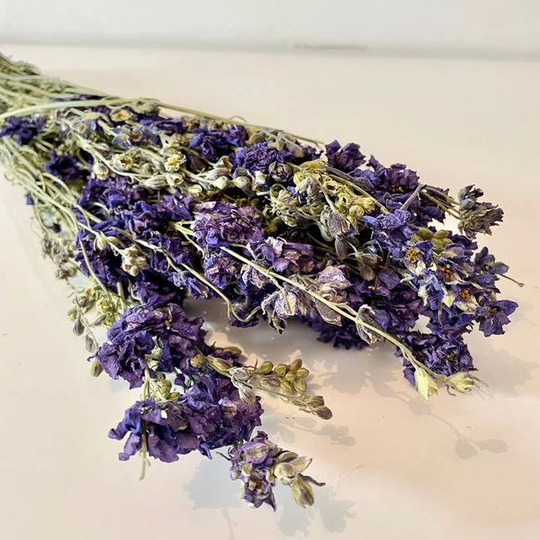 FLEURS SÉCHÉES, DELPHINIUM séché, DIY, Loisirs créatifs, à la Botte 2 couleurs