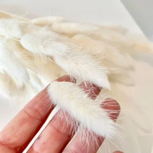 FLEURS SÉCHÉES, LAGURUS, DIY, Loisirs créatifs, à la Botte 12 couleurs