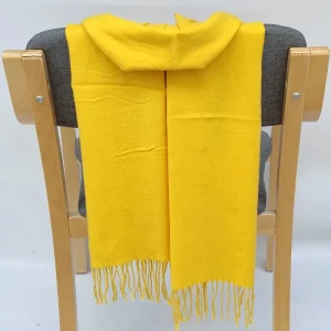 Echarpe en cachemire uni avec franges