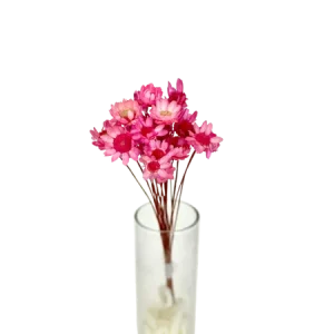 Glixia rose 15 tiges, Complément, Box DIY