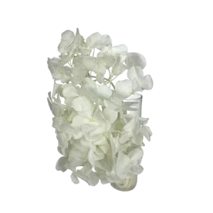Hortensia blanche Mini Bouquet, Complément, Box DIY