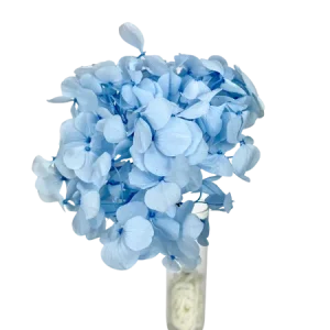 Hortensia bleue Mini Bouquet, Complément, Box DIY