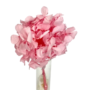 Hortensia rose Mini Bouquet, Complément, Box DIY