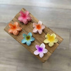 Moyenne pince à cheveux