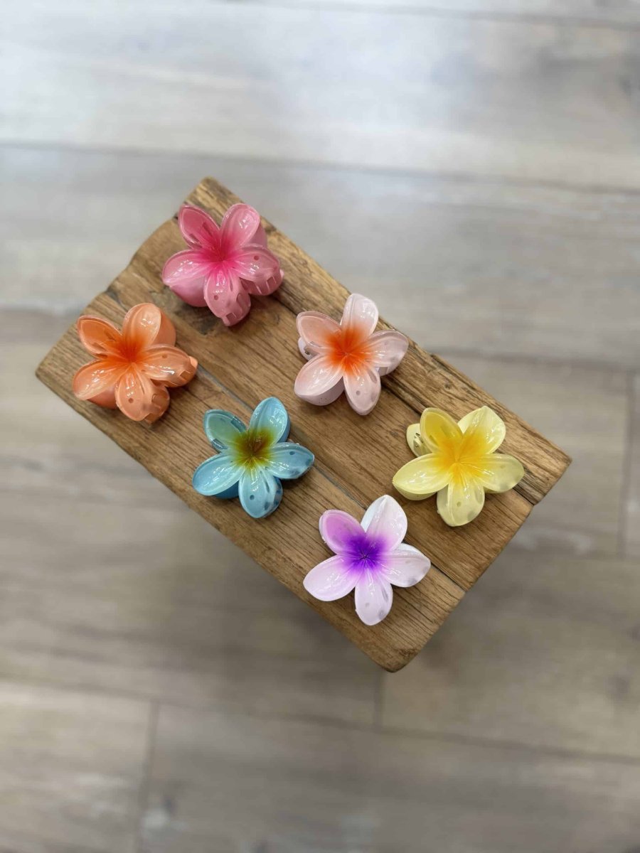 Moyenne pince à cheveux – Image 2