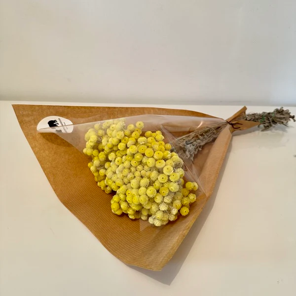 FLEURS SÉCHÉES, IMMORTELLES DU VAR séchées, DIY, Loisirs créatifs, 3 couleurs – Image 7