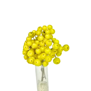 Immortelle du Var jaune Mini Bouquet, Complément, Box DIY