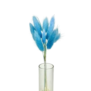 Lagurus bleu 10 tiges, Complément, Box DIY