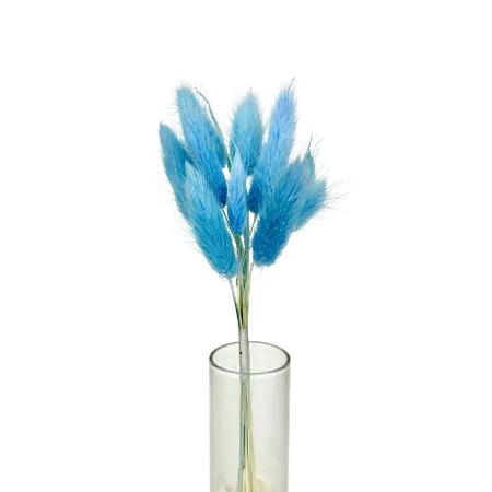 Lagurus bleu 10 tiges, Complément, Box DIY