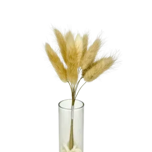 Lagurus brun clair 10 tiges, Complément, Box DIY