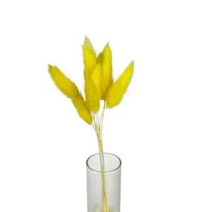 Lagurus jaune 10 tiges, Complément, Box DIY