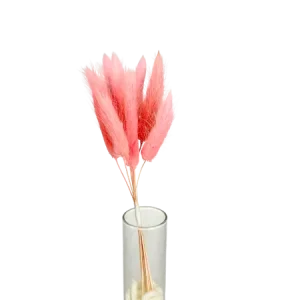 Lagurus rose 10 tiges, Complément, Box DIY