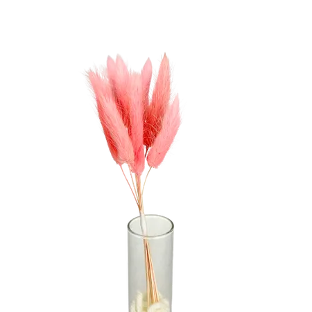 Lagurus rose 10 tiges, Complément, Box DIY – Image 2