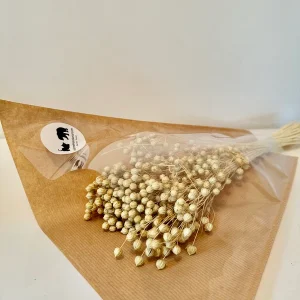 FLEURS SÉCHÉES, LIN naturel, DIY, Loisirs créatifs, à la Botte