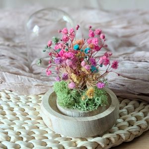 Mini cloche en verre avec gypsophile et lichen stabilisés, Pepeta