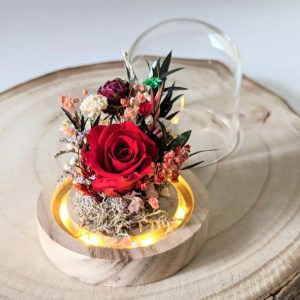 Mini cloche en verre avec fleurs séchées & fleurs stabilisées, décoration d&rsquo;intérieur pour Noël, Gabrielle