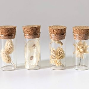Lot de 4 mini fioles de fleurs séchées et stabilisées, Charmes