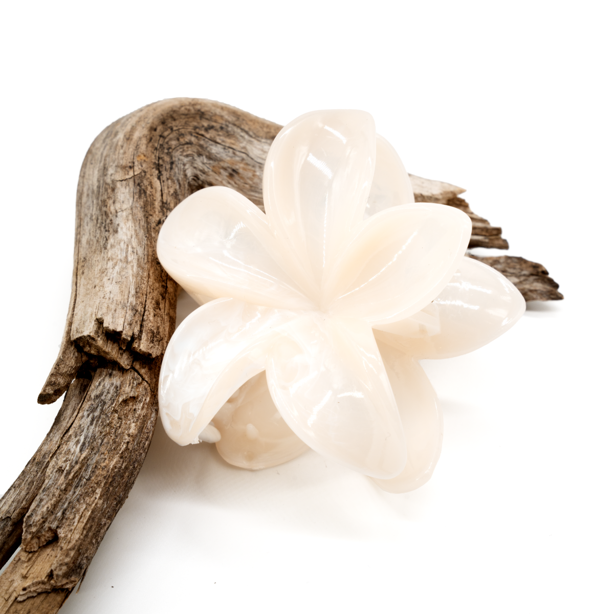 Pinces a cheveux – fleurs tropicales – Image 8