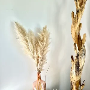 FLEURS SÉCHÉES, HERBES DE PAMPAS naturelle, DIY, Loisirs créatifs x10