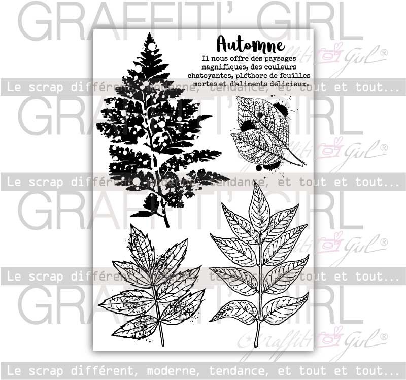 Tampons Transparents Automnales – Image 3