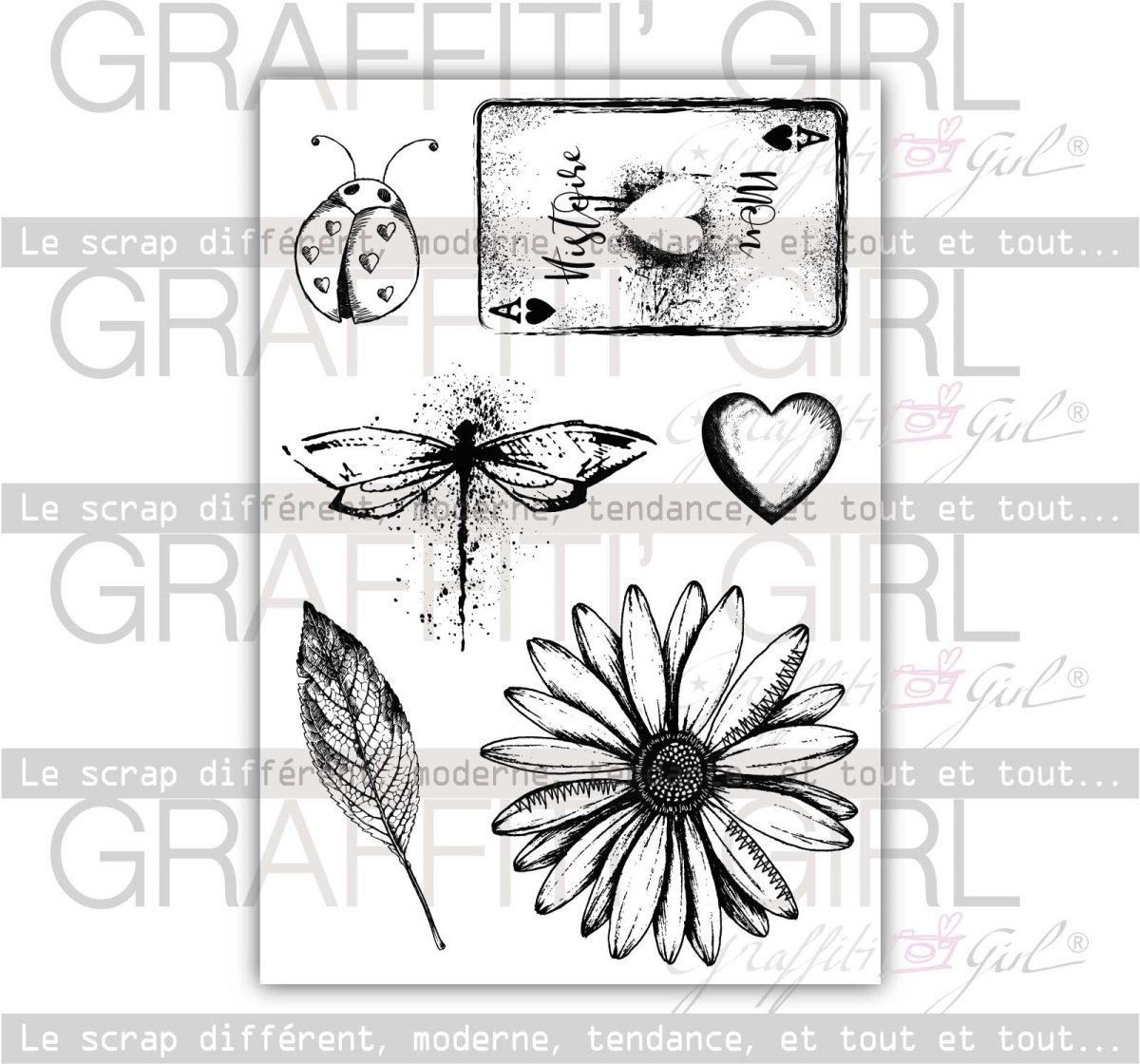 Tampons Transparents ChampInk – Image 3