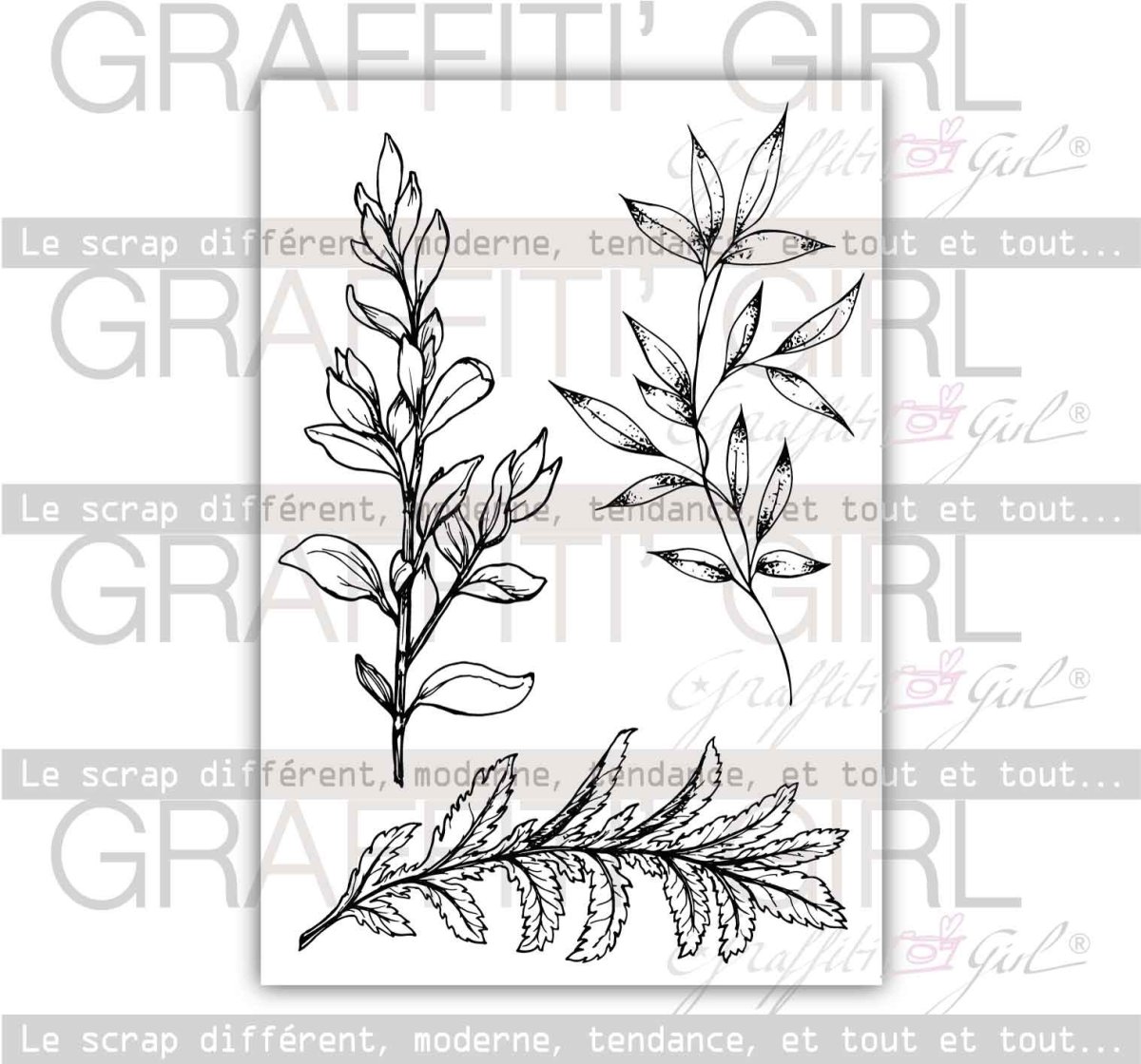 Tampons Transparents Leaves – Image 3