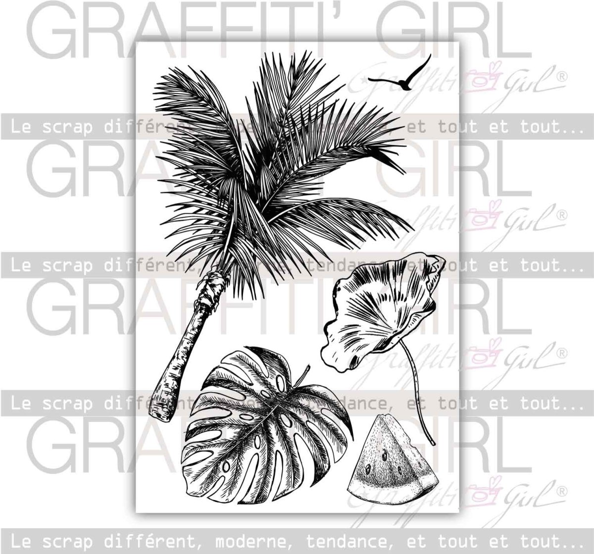 Tampons Transparents Tropical – Image 3